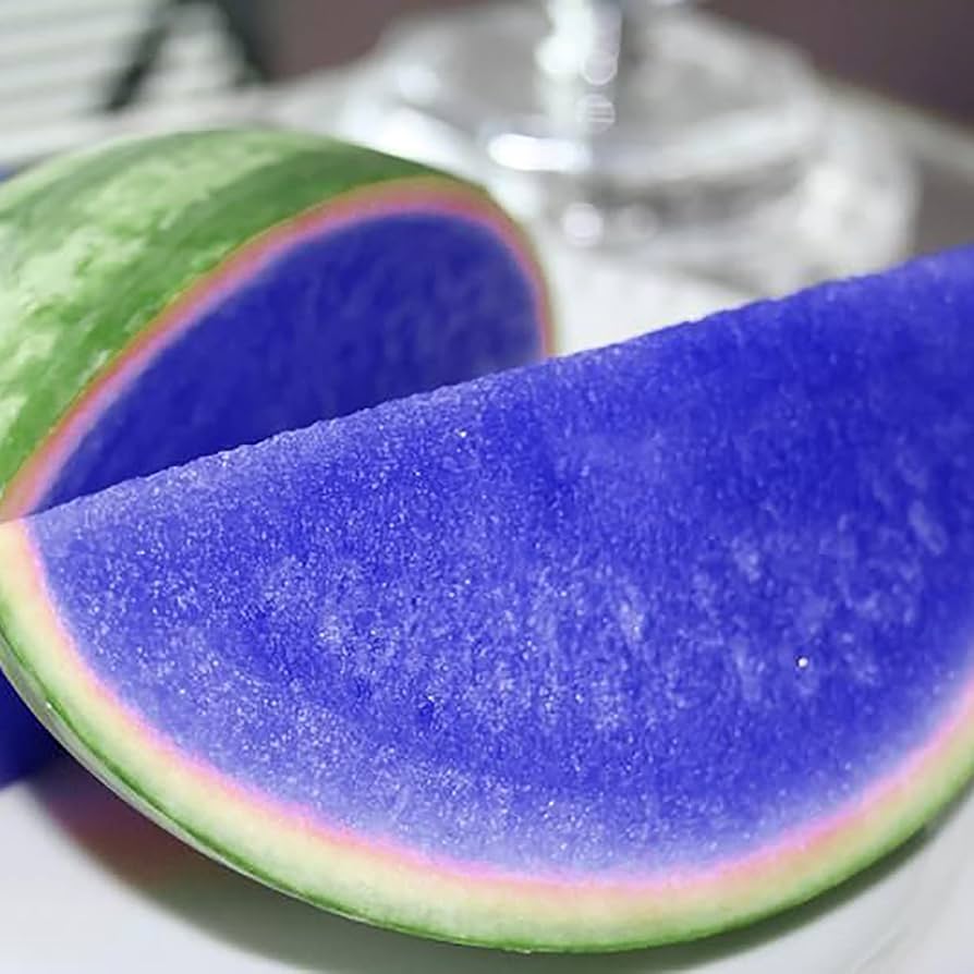 Amazon.com : QAUZUY GARDEN 100 Rare Blue Watermelon Seeds